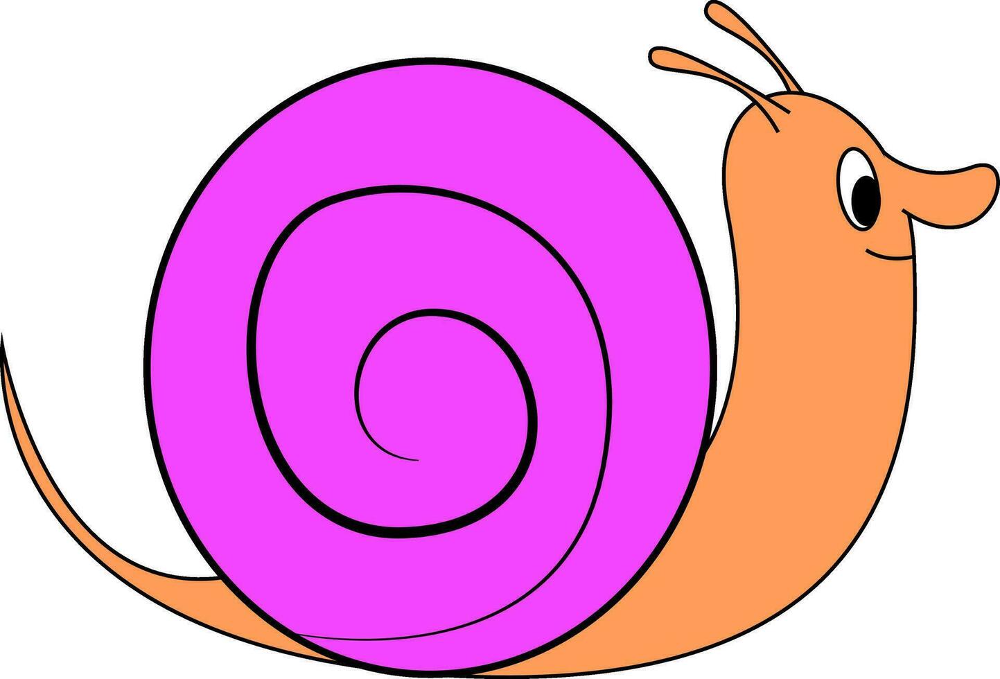 uma Rosa Caracol vetor ou cor ilustração