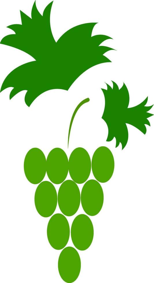 verde uvas, vetor ou cor ilustração.