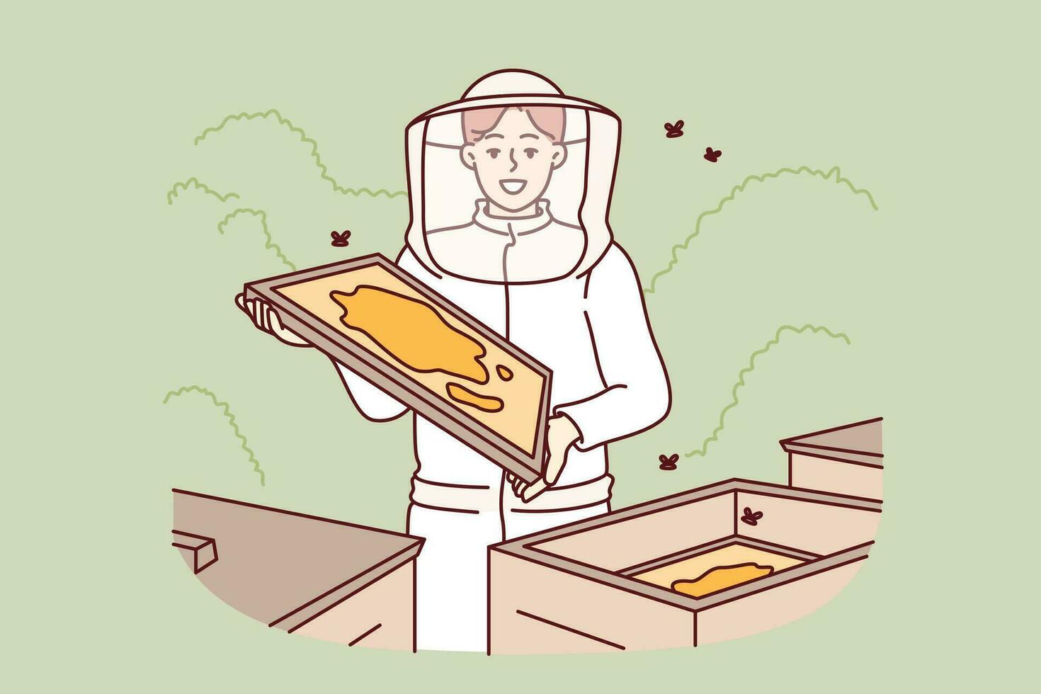 mulher apicultor carrinhos dentro apiário entre urticária e vôo abelhas, leva Fora favos de mel com mel, vestido dentro branco protetora terno. menina agricultor trabalho dentro apiário, produzindo ecológico Comida vetor