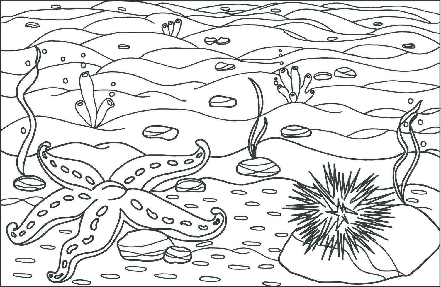 uma estrelas do mar com mar ouriço. coloração página, mão desenhado para relaxamento e estresse alívio. coloração livro para adultos e criança com rabiscos, zentangle Projeto elementos. vetor
