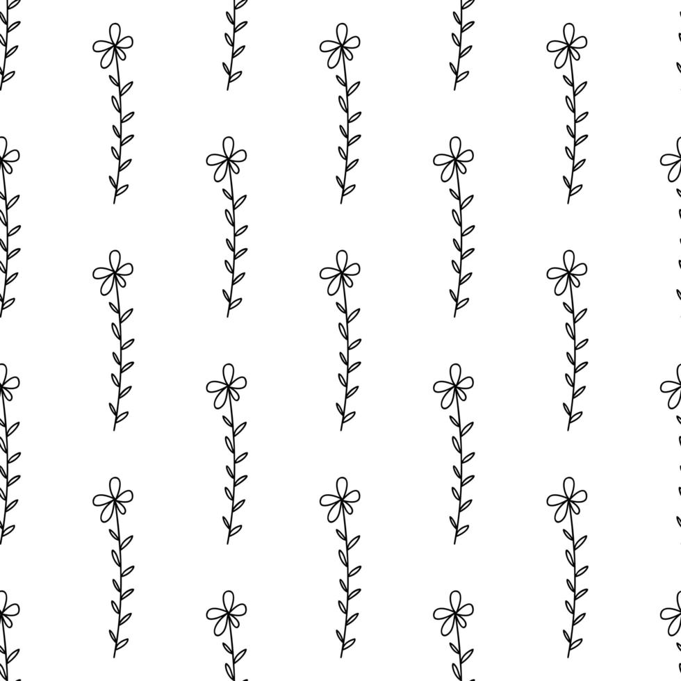 padrão sem emenda feito de flores de camomila doodle vetor