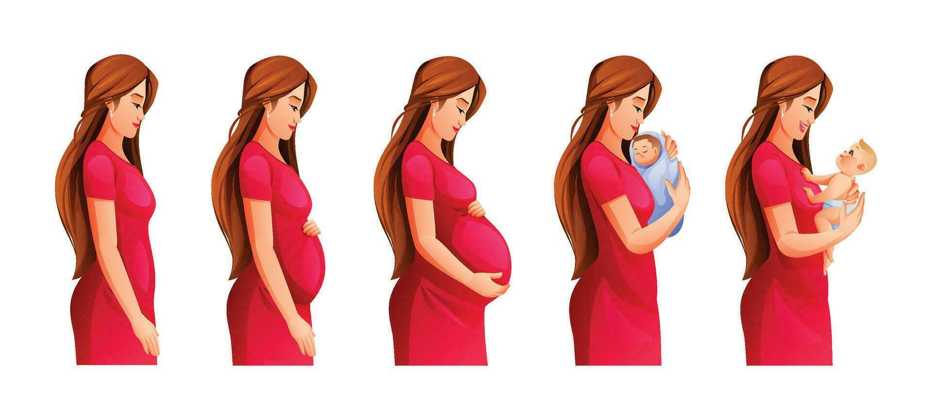 gravidez estágios. grávida mulher e recém-nascido bebê. alterar dentro fêmea corpo durante gravidez. vetor desenho animado ilustração