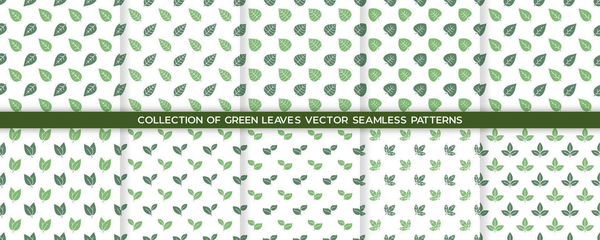 coleção do verde folhas vetor desatado padronizar fundo.