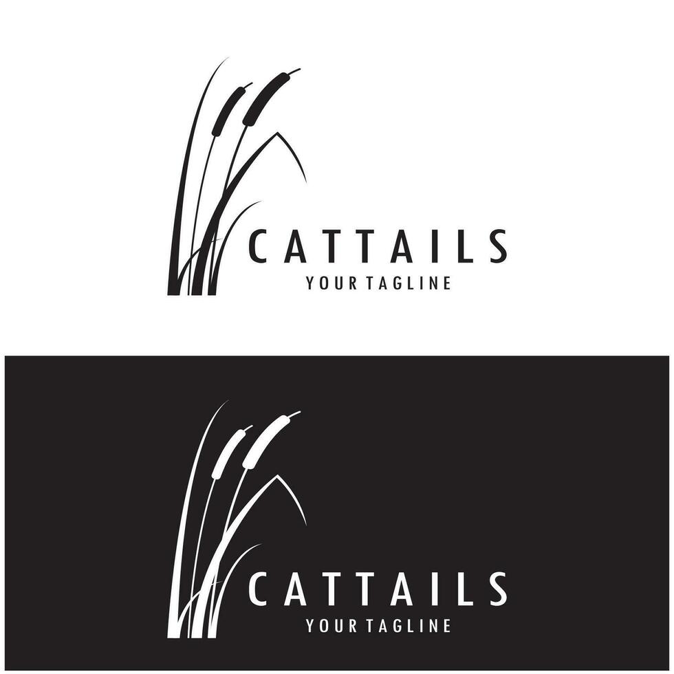 cattails ou rio cana Relva plantar logotipo projeto, aquático plantas, pântano, selvagem Relva vetor