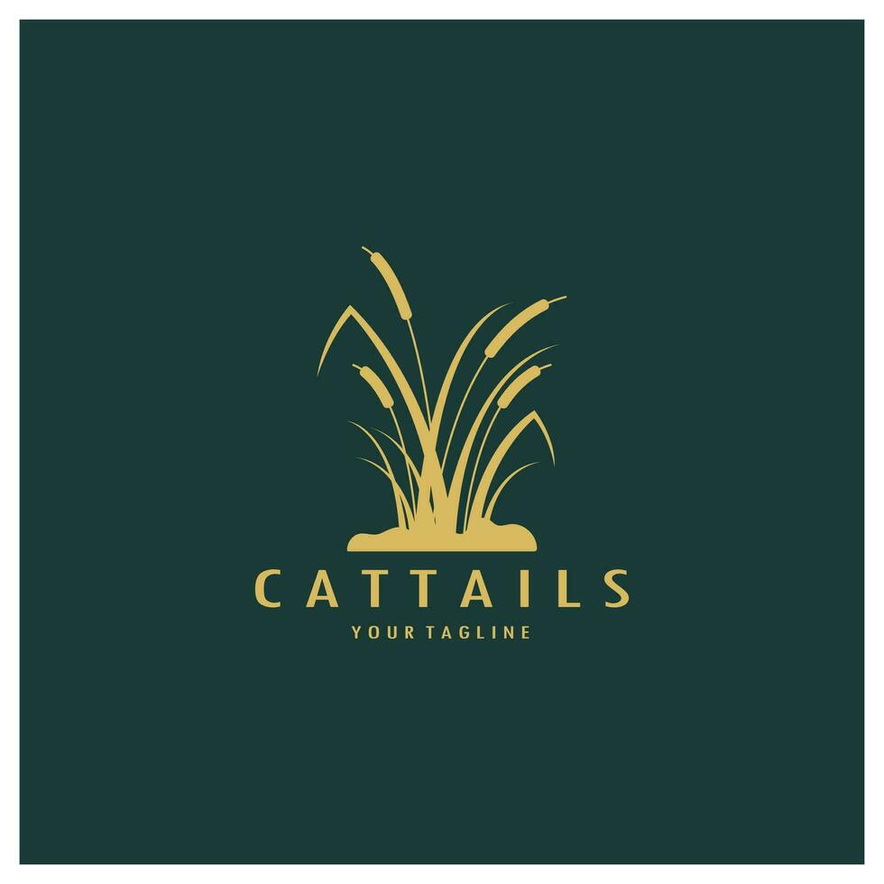 cattails ou rio cana Relva plantar logotipo projeto, aquático plantas, pântano, selvagem Relva vetor