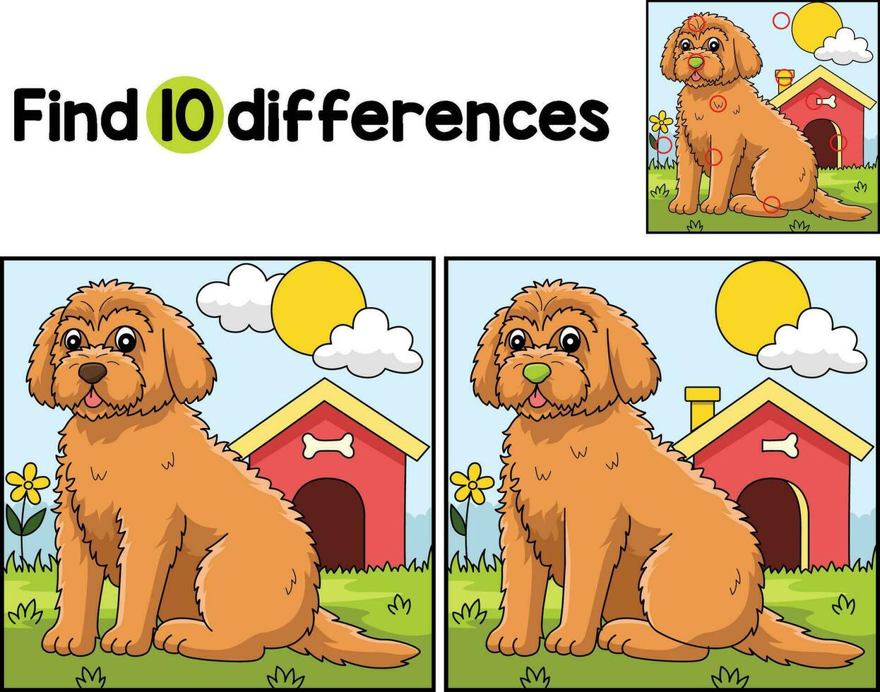 goldendoodle cachorro encontrar a diferenças vetor