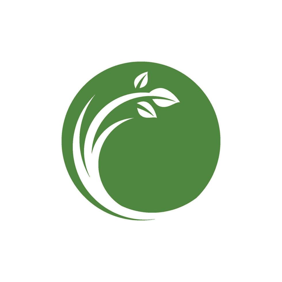 logotipos da ecologia de folhas verdes vetor