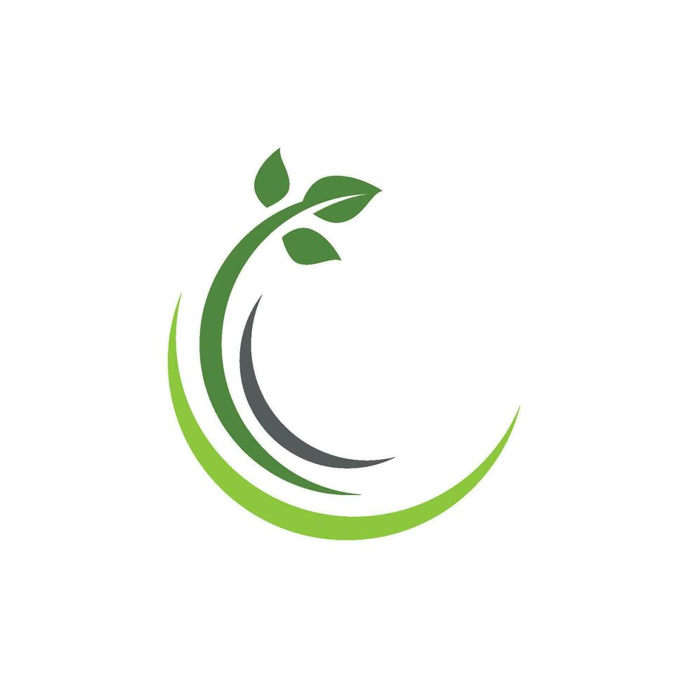 logotipos da ecologia de folhas verdes vetor