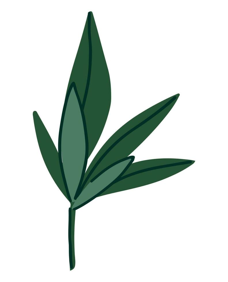 simples verde folhas. botânico desenho animado estilo doodle. vetor ilustração isolado em branco.