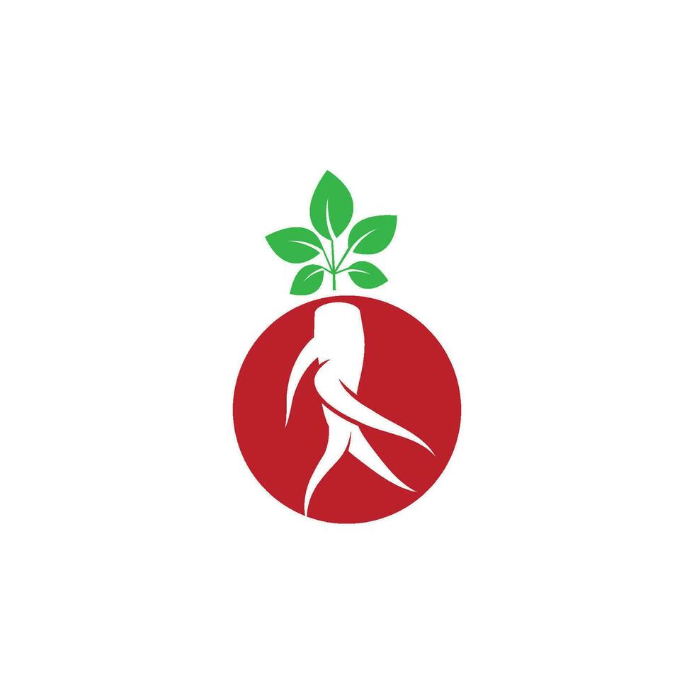 ginseng logotipo ícone vetor