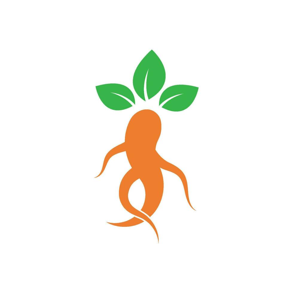 ginseng logotipo ícone vetor