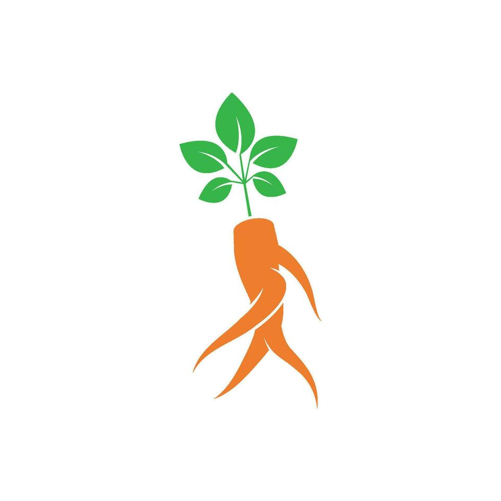 ginseng logotipo ícone vetor