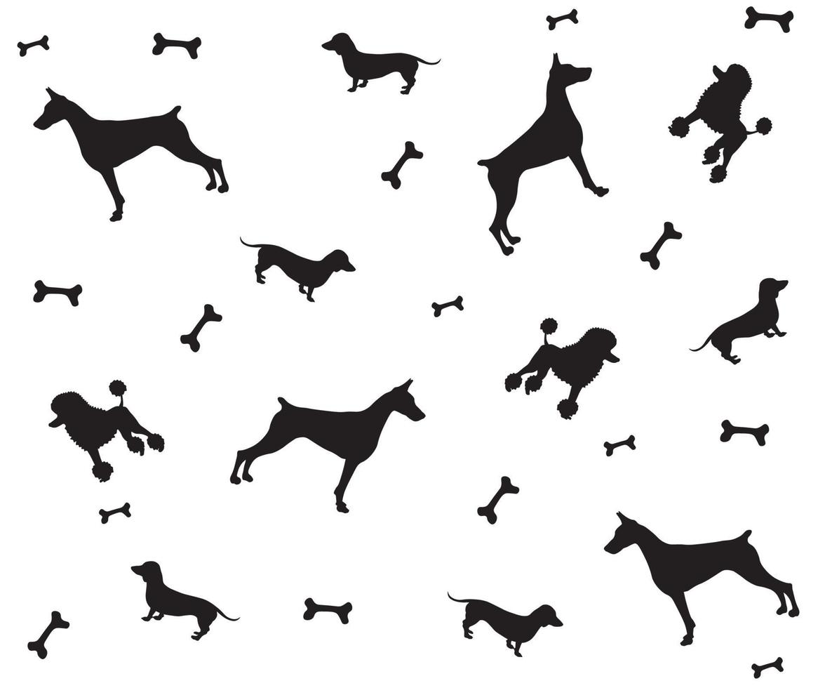 padrão preto e branco de silhuetas de cães - bassê, poodle e doberman vetor