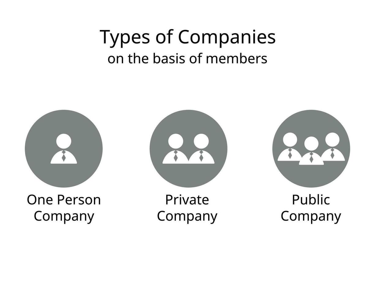 tipo do empresas em a base do membros para 1 pessoa, privado companhia e público companhia vetor