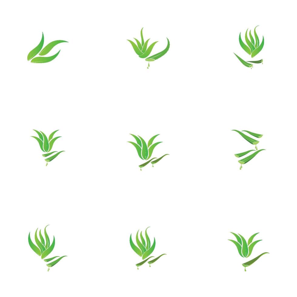 modelo de design de ilustração de logotipo de aloe vera vetor