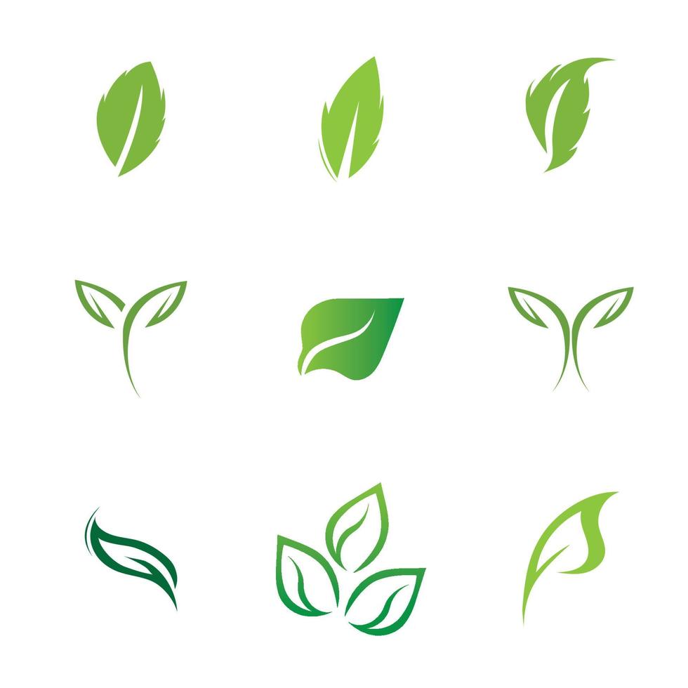 logotipos do vetor de elemento de natureza ecologia de folha verde