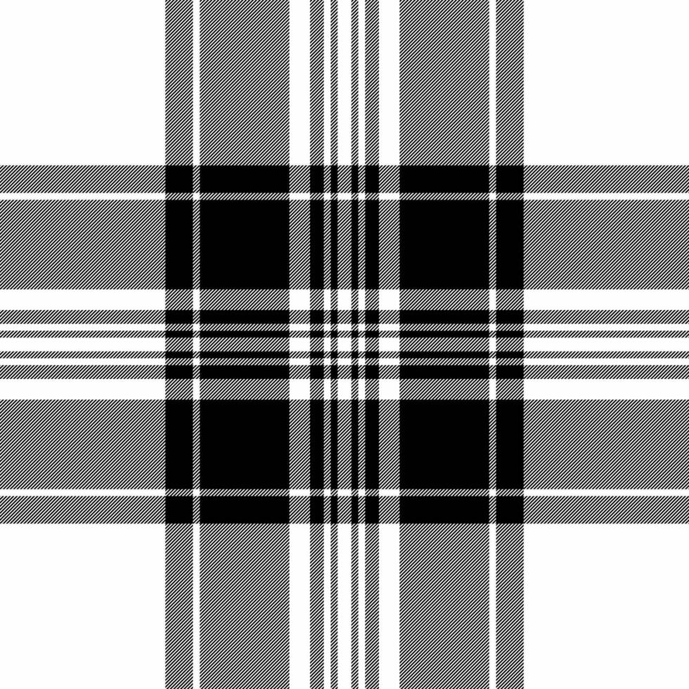 têxtil fundo tartan do textura Verifica vetor com uma tecido xadrez desatado padronizar.