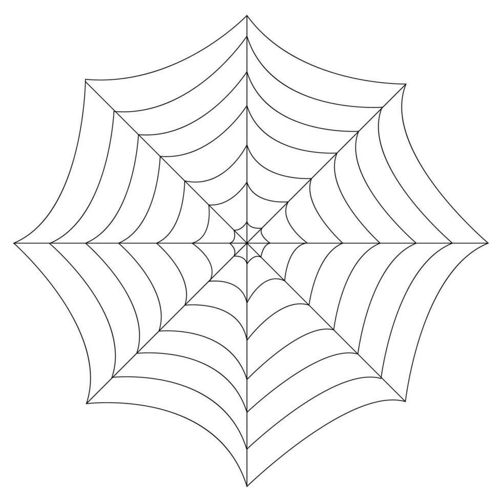 vetor ilustração do teia de aranha isolado em branco fundo.