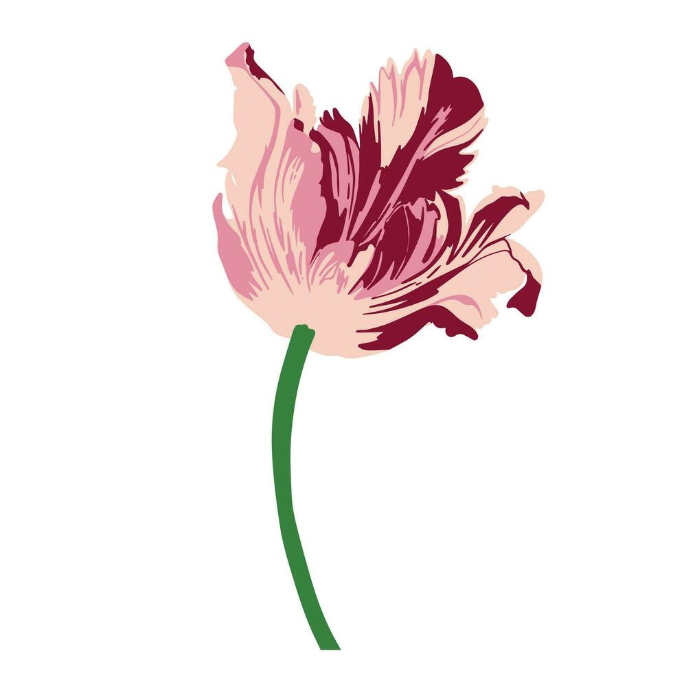 colori plano vetor ilustração do tulipa. para Cosmético pacote projeto, medicinal erva, tratando, metade Cuidado, imprime. Projeto elemento para tecido, têxtil, roupas, invólucro papel, papel de parede