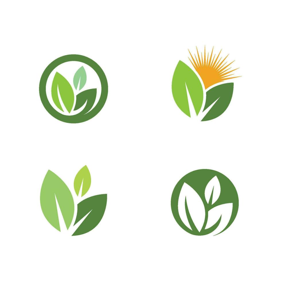 logotipos da ecologia de folhas verdes vetor