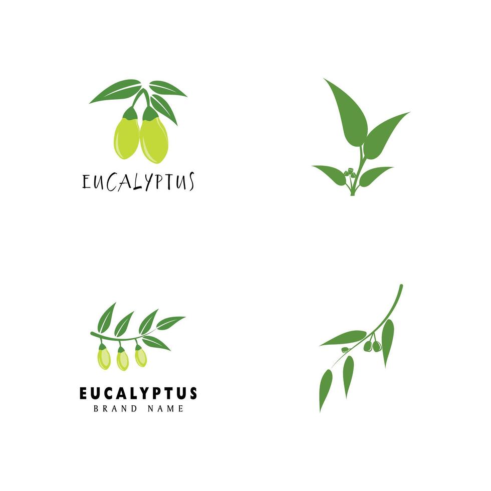 eucalipto deixa ilustração de design de modelo de vetor de logotipo