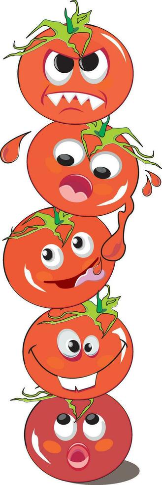 tomate ou solanum lycopersicum, ilustração vetor