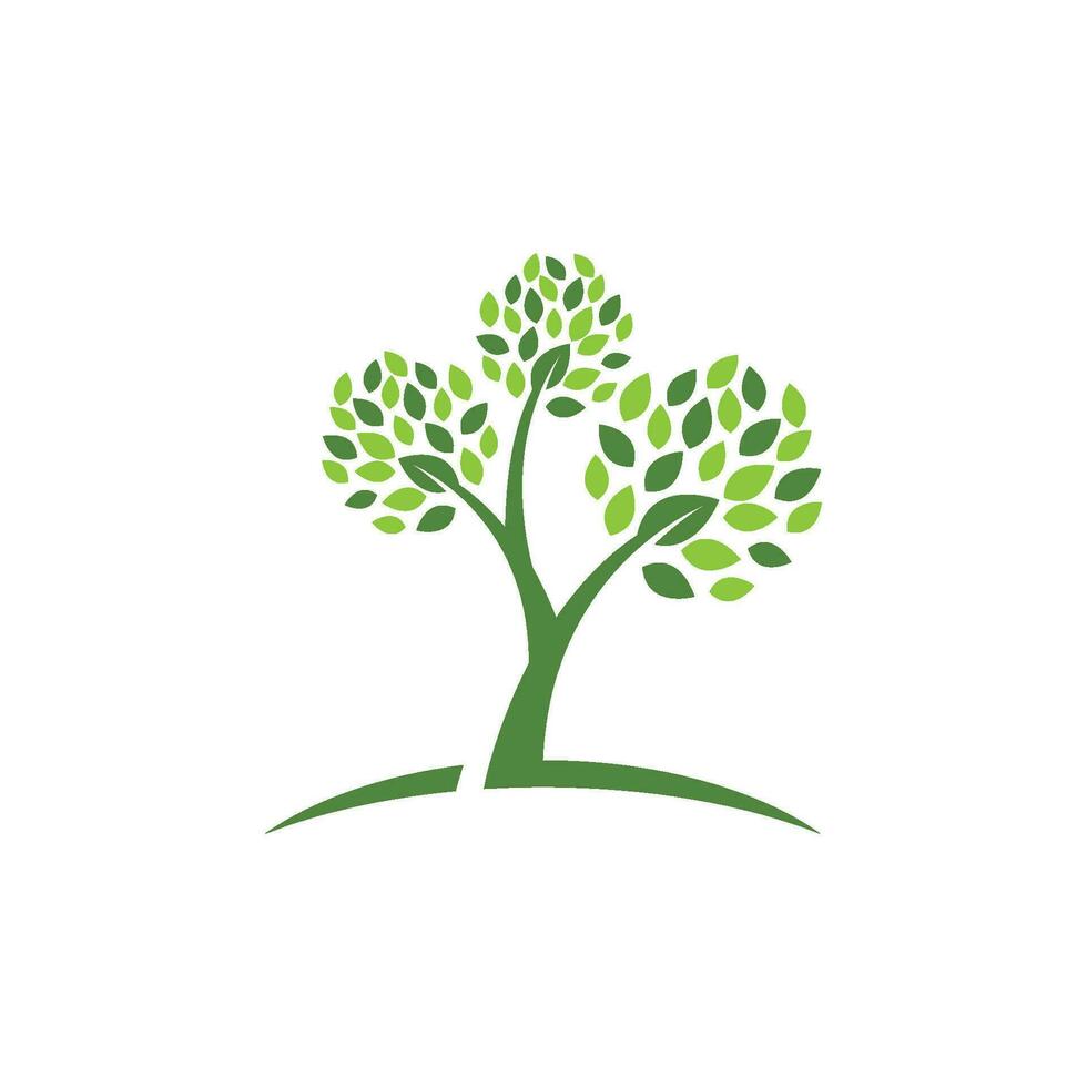 logotipos da ecologia de folhas verdes vetor