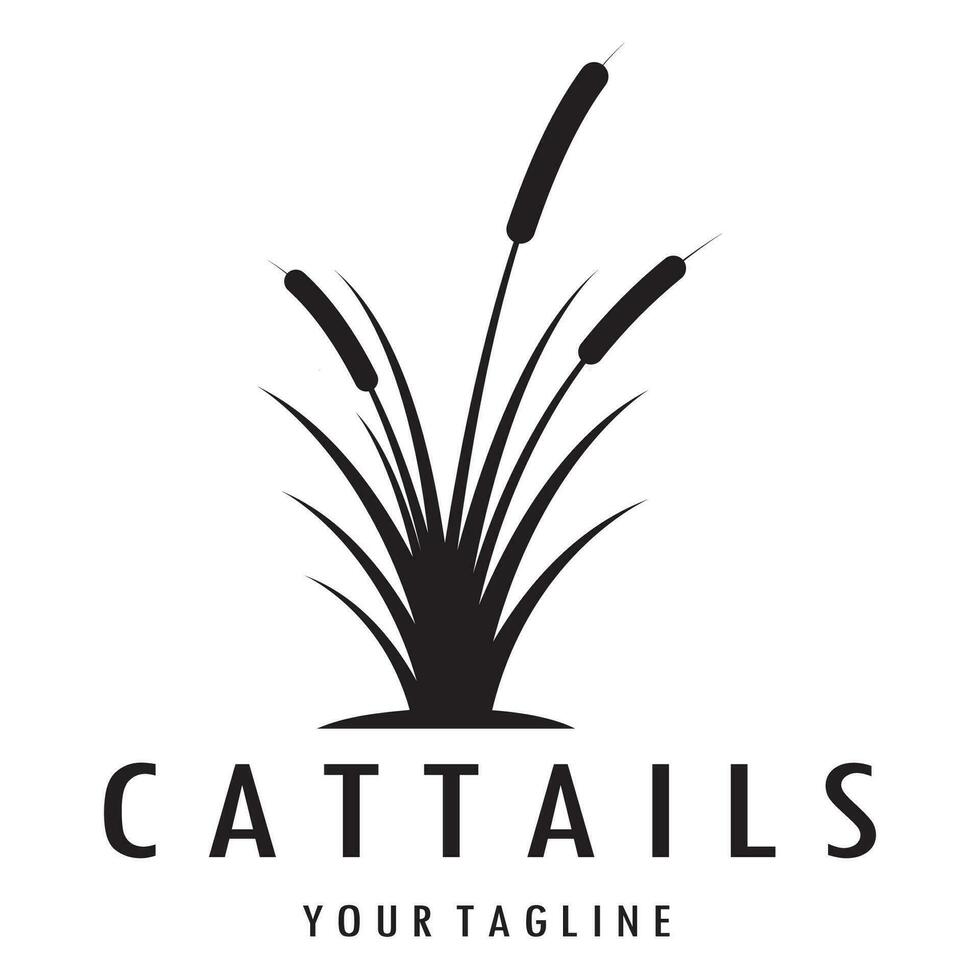 cattails ou rio cana Relva plantar logotipo projeto, aquático plantas, pântano, selvagem Relva vetor