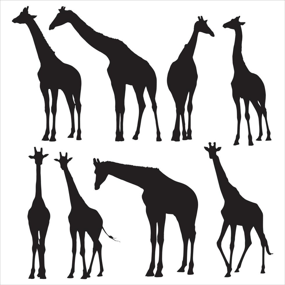 conjunto de silhuetas vetoriais de girafas vetor