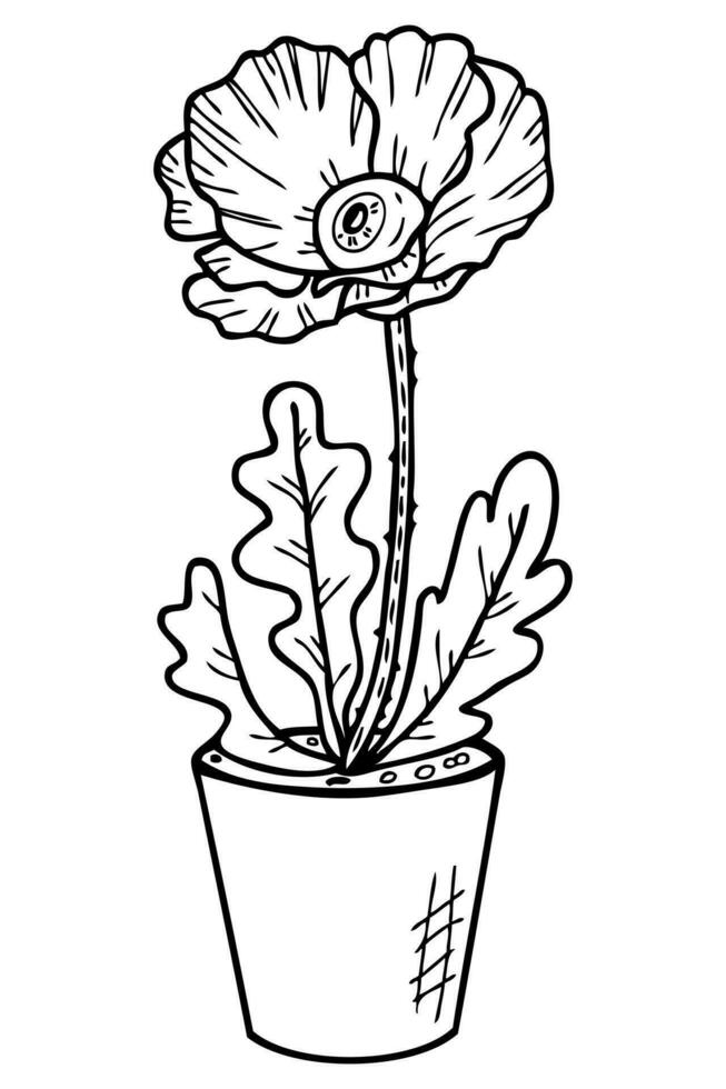 grande olhos mão desenhado papoula plantar dentro uma flor Panela. místico impressão para camiseta, adesivo, cartão, poster. vetor