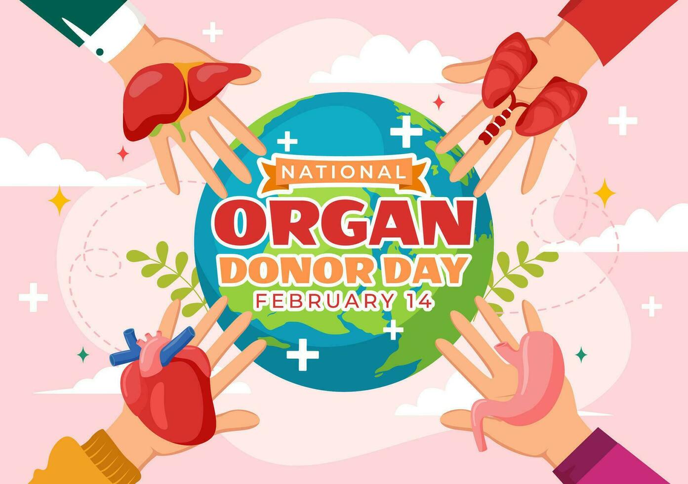 nacional órgão doador dia vetor ilustração em 14 fevereiro com rins, coração, pulmões ou fígado para transplantação e cuidados de saúde dentro plano fundo
