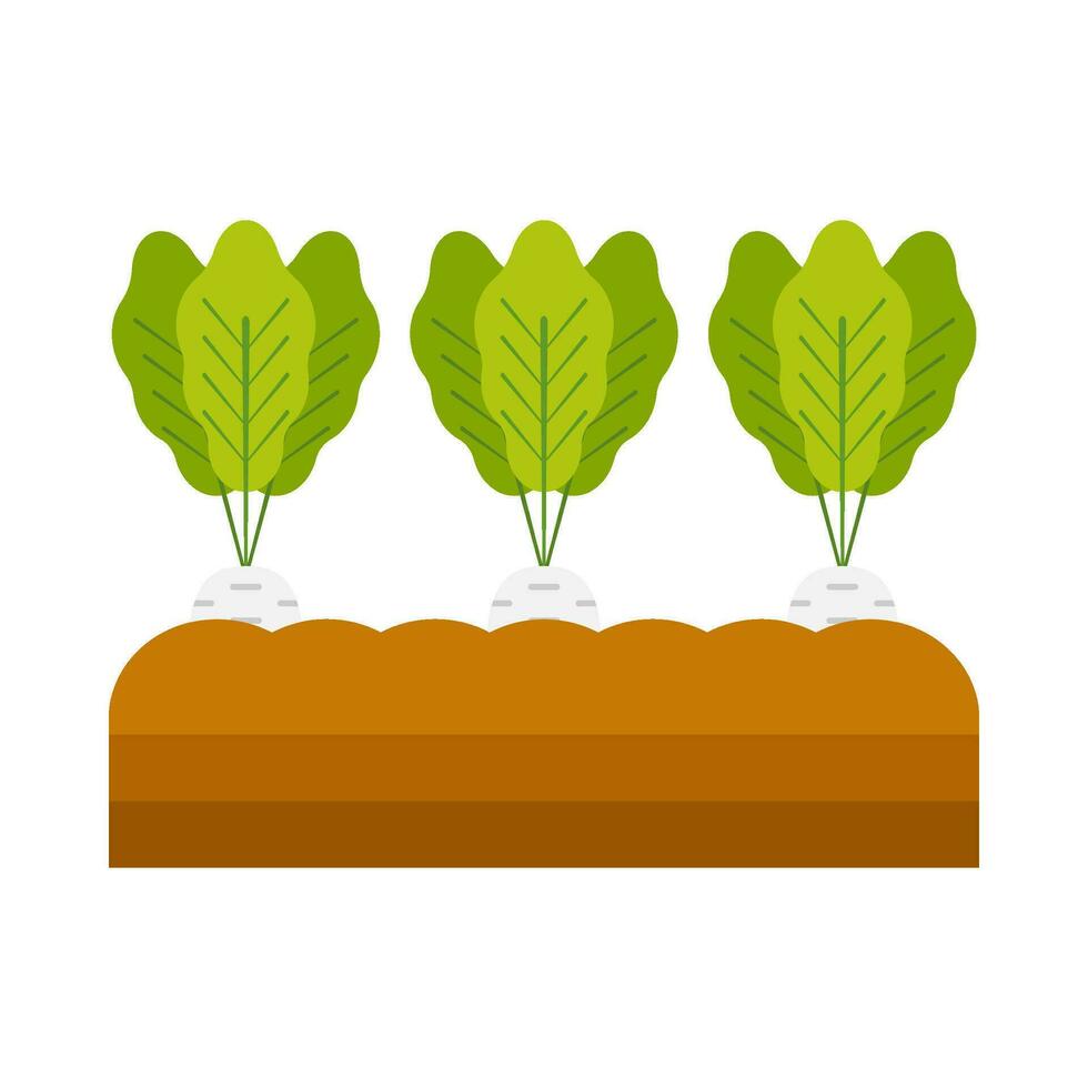 cenoura vegetal plantar plano ilustração vetor