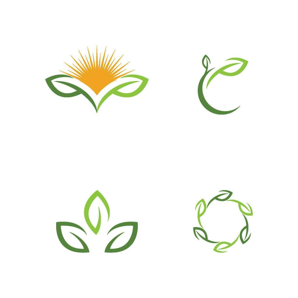 logotipos da ecologia de folhas verdes vetor