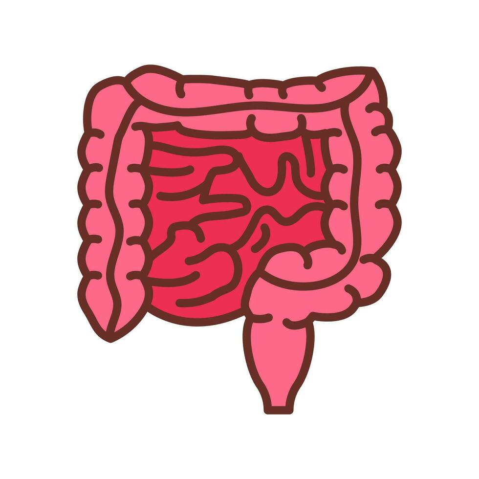 intestinos ícone dentro vetor. logótipo vetor