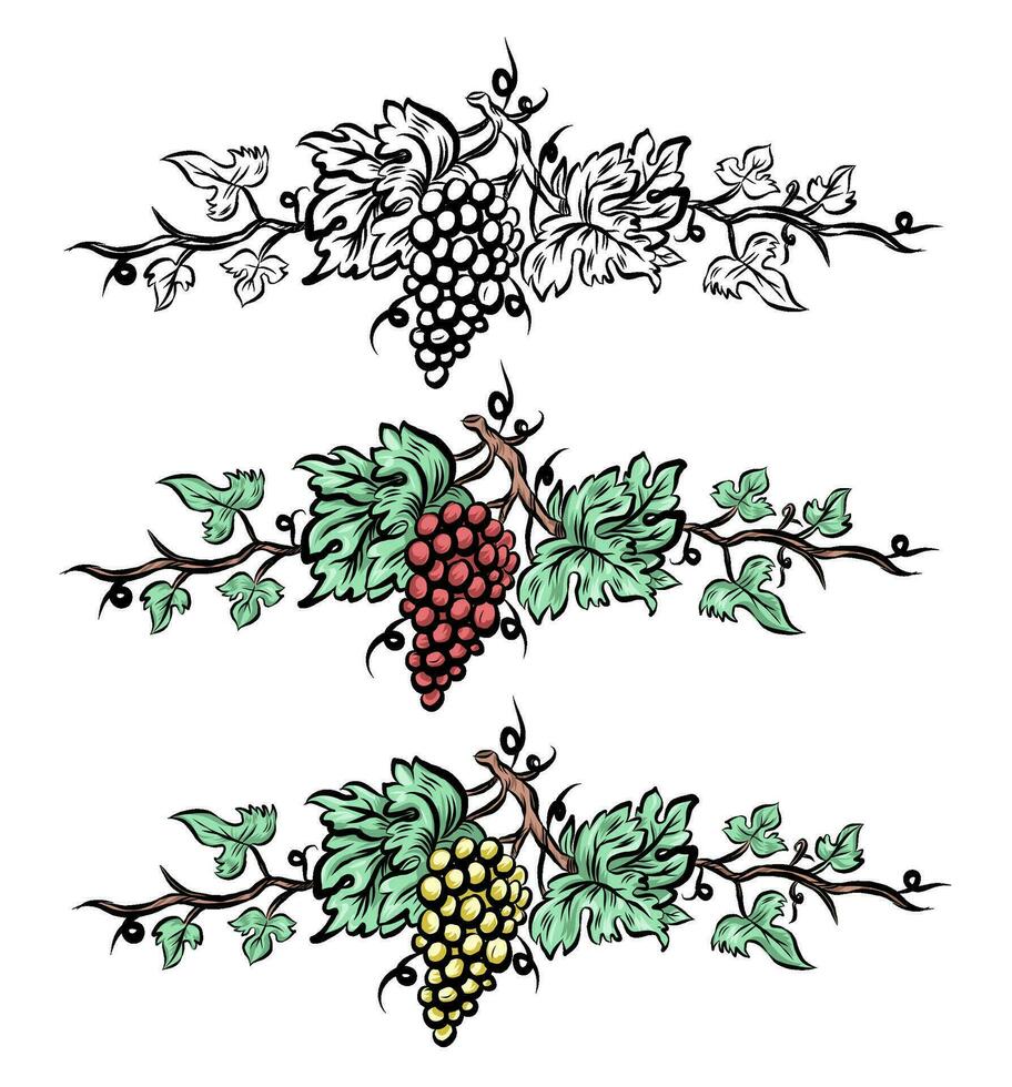uva videira conjunto elementos . vintage mão desenhado vinho decorações fronteira, floral uvas . vetor ilustração