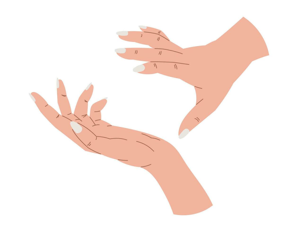 elegante fêmea mãos com manicure. vetor isolado plano ilustração.