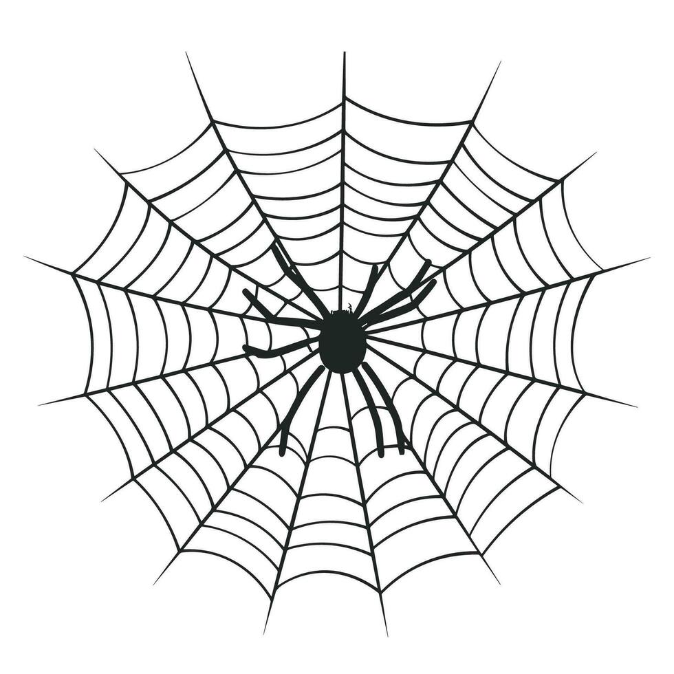 uma teia de aranha vetor isolado em uma branco fundo, uma aranha rede silhueta