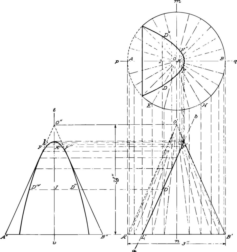 cônico seção parábola vintage ilustração. vetor