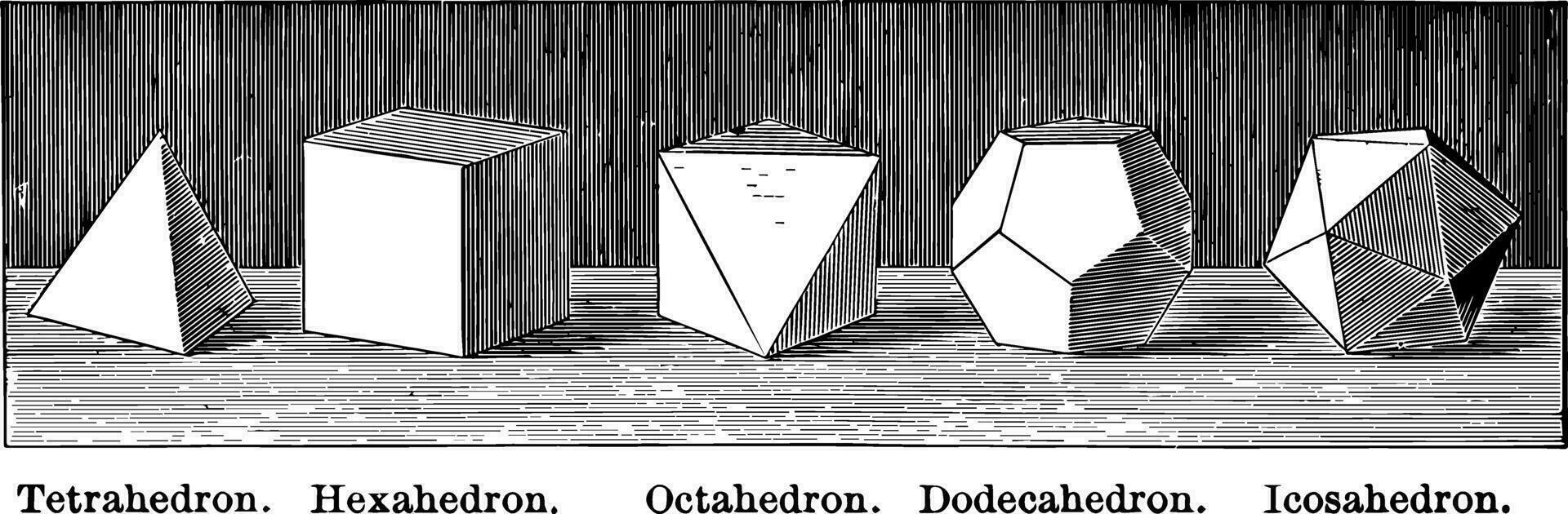 regular poliedros vintage ilustração. vetor