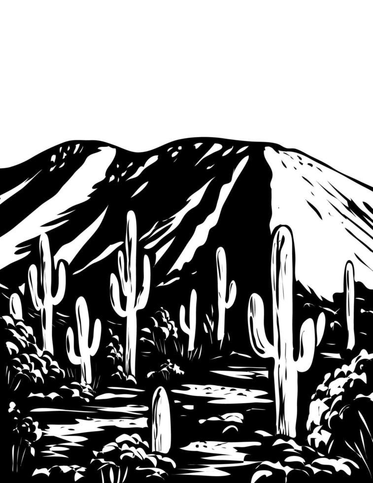 pico de wasson em tucson mountain distrito do parque nacional de saguaro arizona eua wpa arte em preto e branco vetor