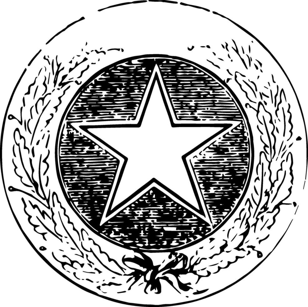 texas foca vintage ilustração vetor