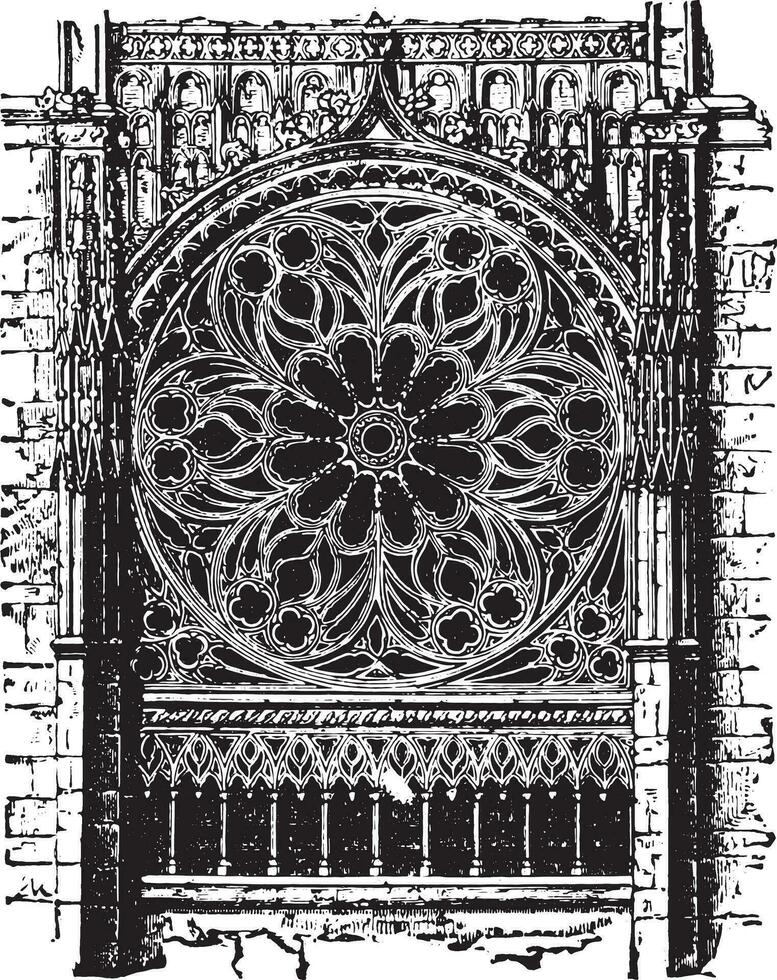 rosa do a catedral do ruão, a décimo quarto século, vintage gravação. vetor