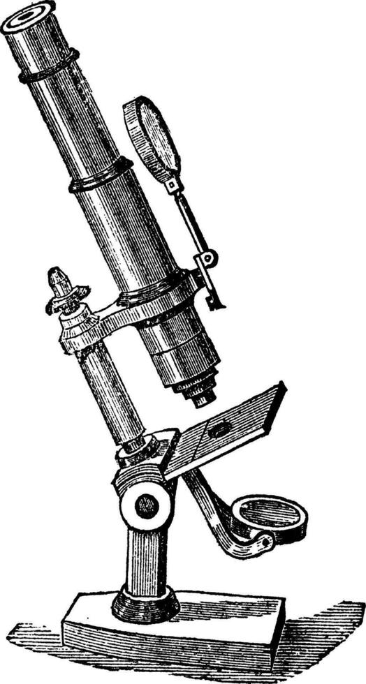 microscópio compor, vintage gravação. vetor