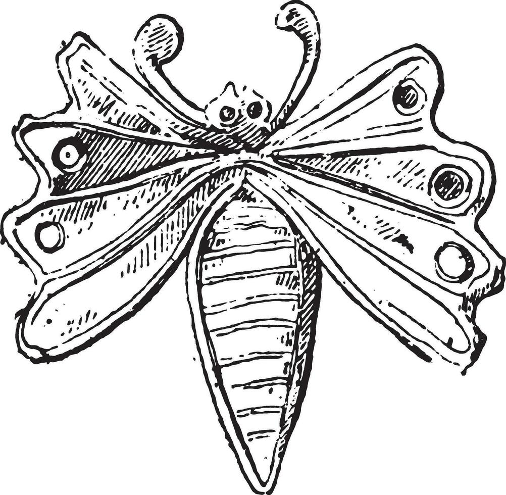 borboleta ouro, vintage gravação. vetor