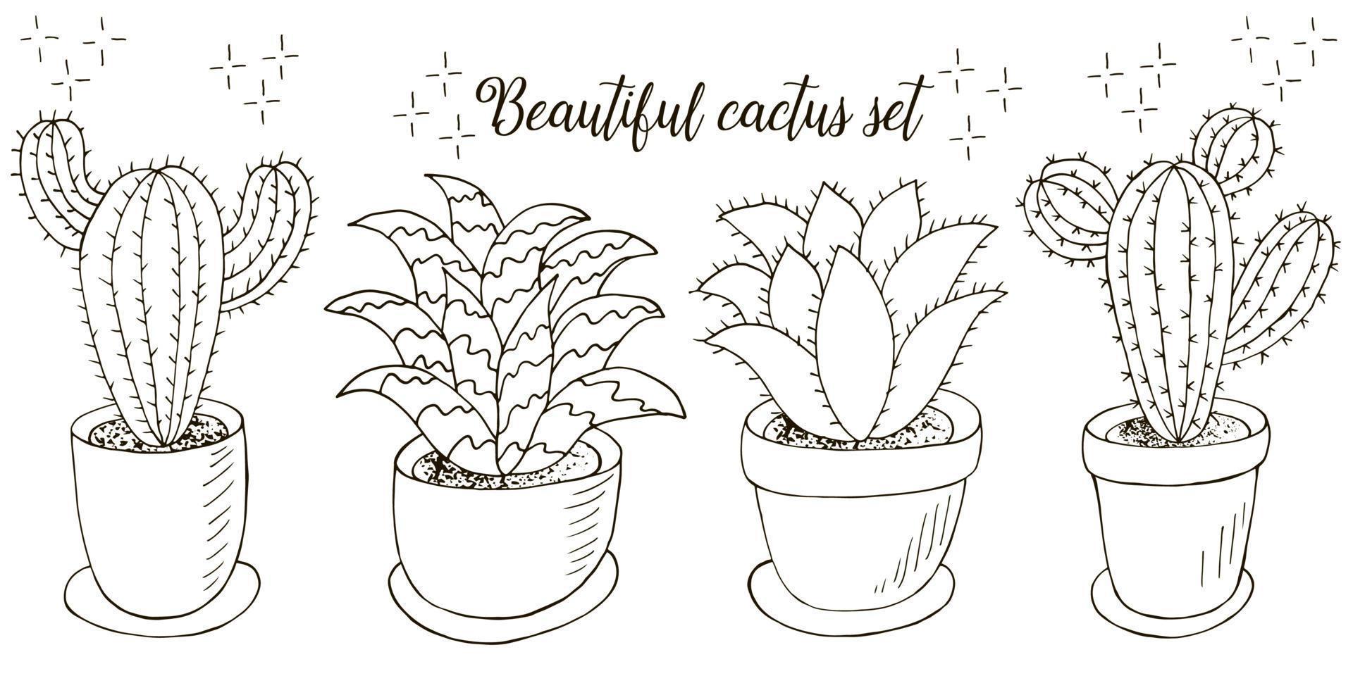 Desenhos para colorir de cactos e suculentas · Creative Fabrica