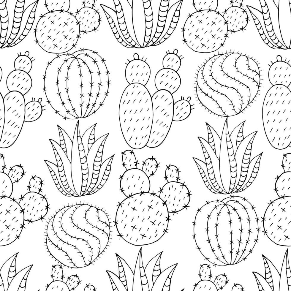 Desenhos para colorir de cactos e suculentas · Creative Fabrica