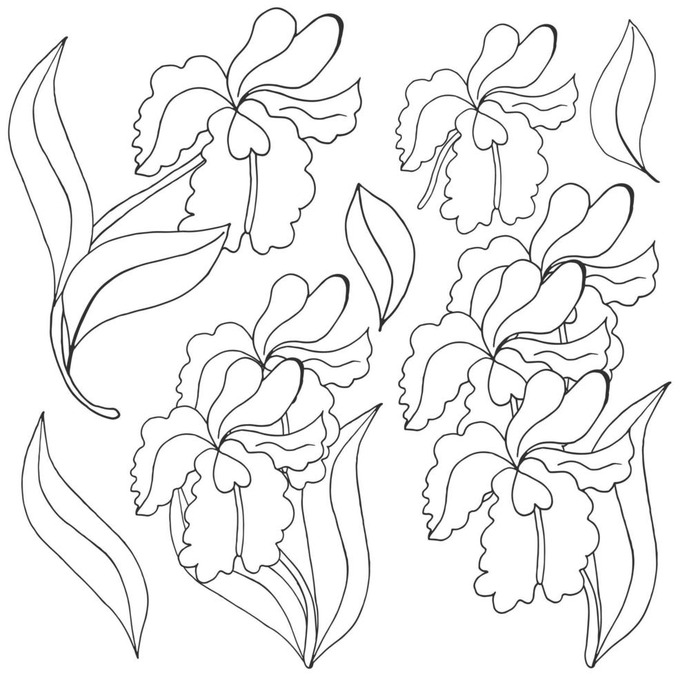 ilustração floral na mão desenhar estilo vetor