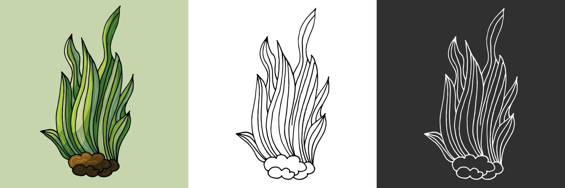 ícone na mão desenhar estilo. ilustração do forro. coleção de desenhos sobre o tema marinho vetor