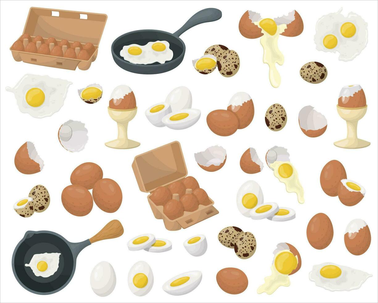 uma conjunto do frango e Codorna ovos. frito e fervido ovos, ovos dentro uma fritar frigideira, cascas de ovo. vetor ilustração