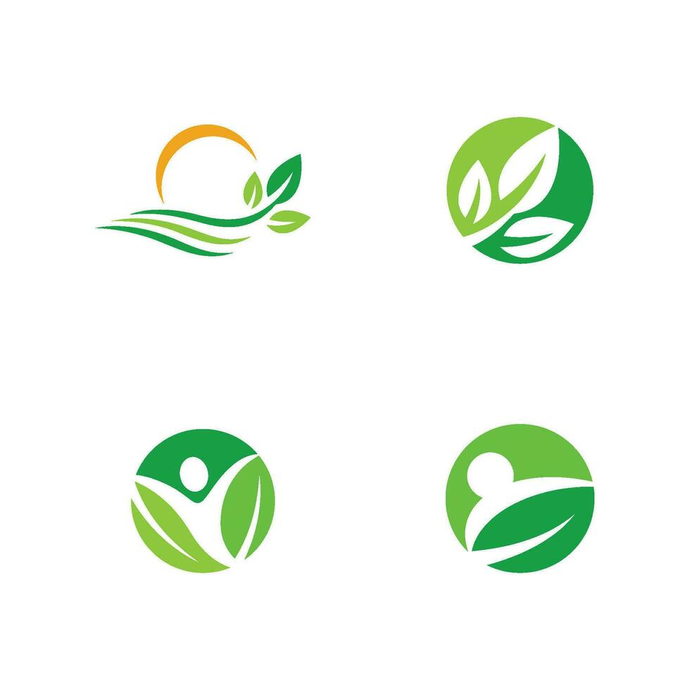 logotipos da ecologia de folhas verdes vetor